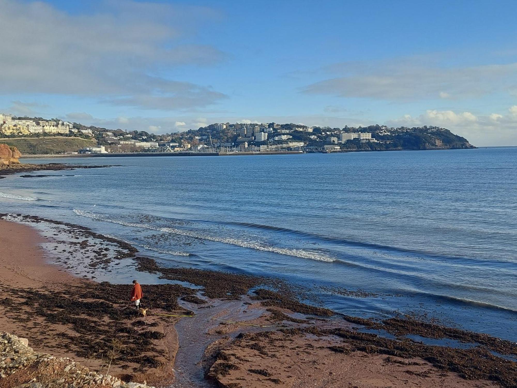 The Seaview Suites At The Corbyn Apartments Torquay Pokój zdjęcie